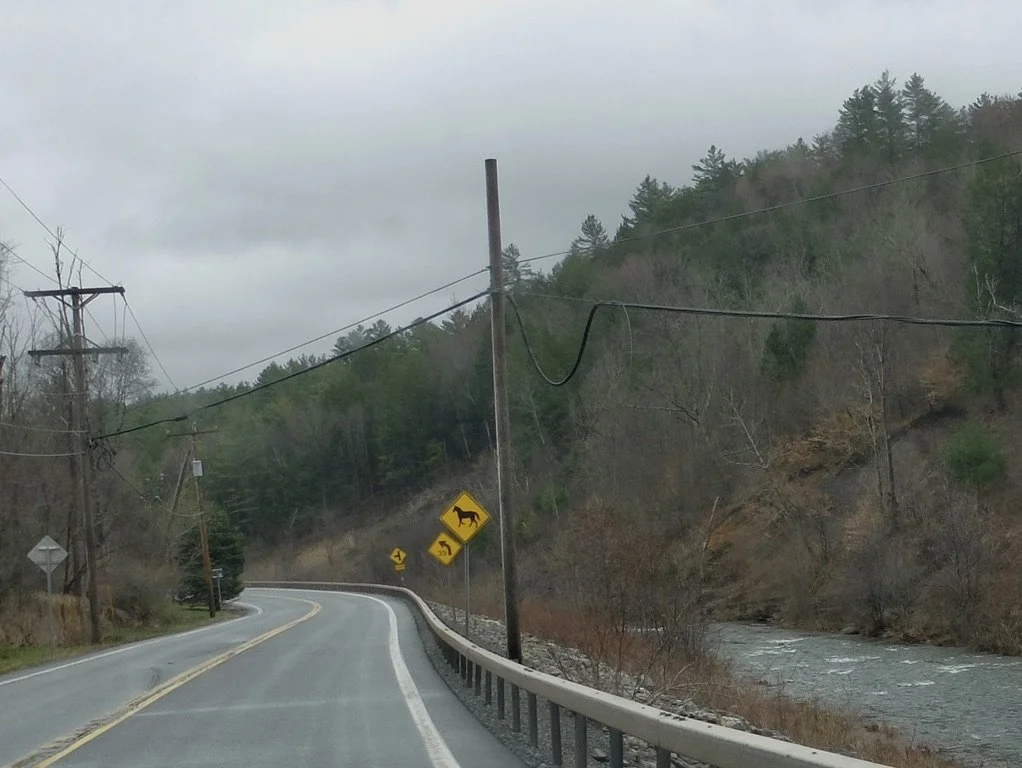  Schoharie Creek along Rte. 23A. 