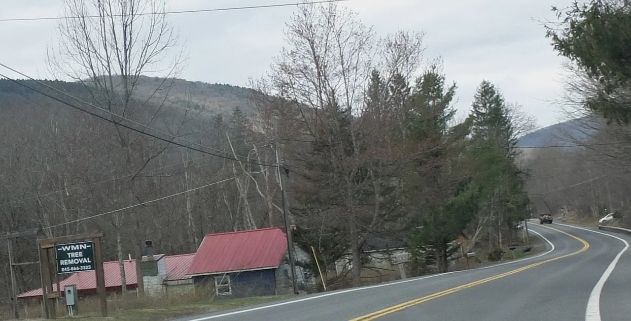  “WMN TREE REMOVAL”  Lanesville,? NY 