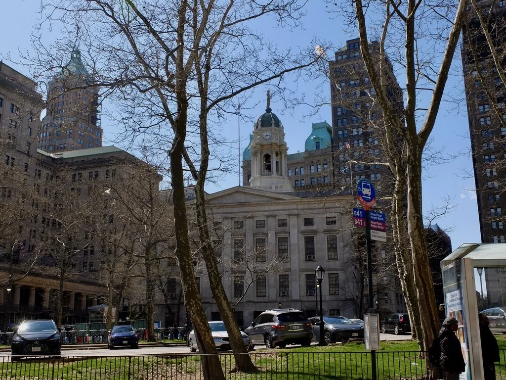  Kings County (A.K.A. the Borough of Brooklyn) Borough Hall.  Nate &amp; Arielle were married here. 