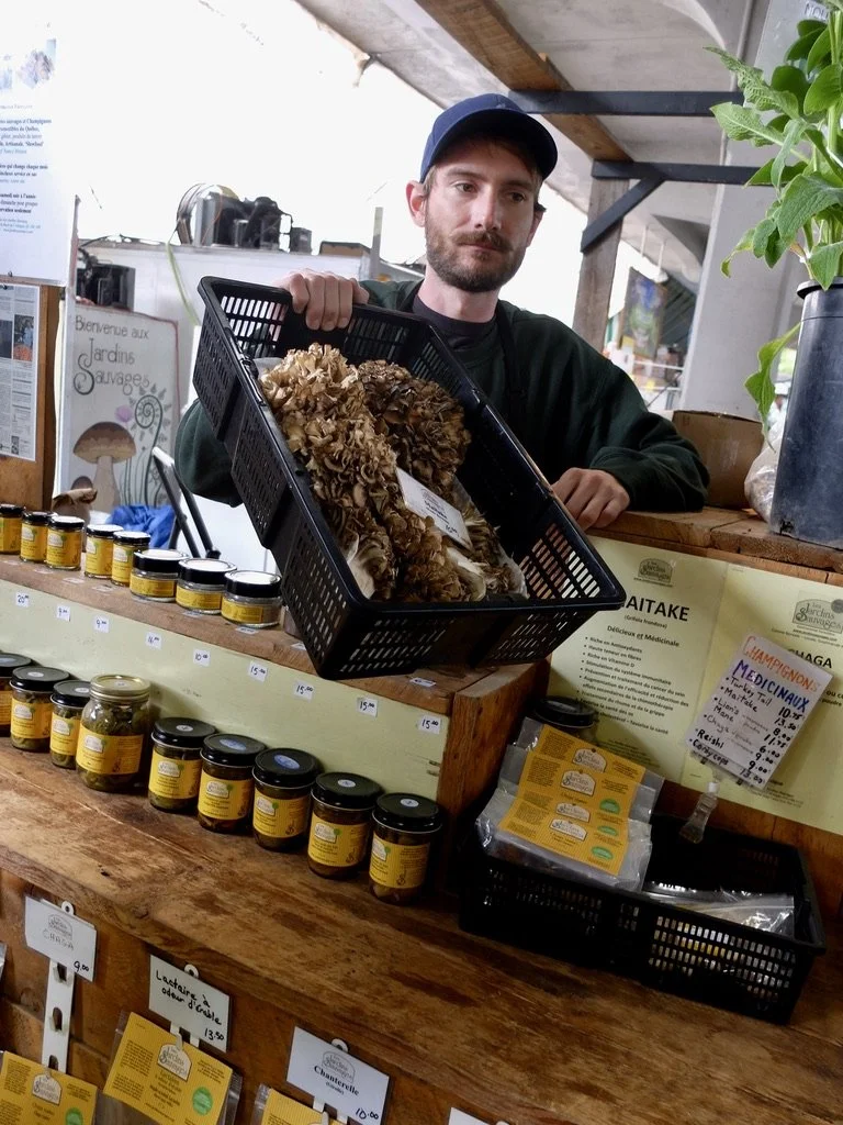  Food tour with Jesse - Marché Jean-Talon.  this fellow forages what he sells.   In this case mushrooms.  We also tasted spinach that was salty because he foraged it near salty water.  