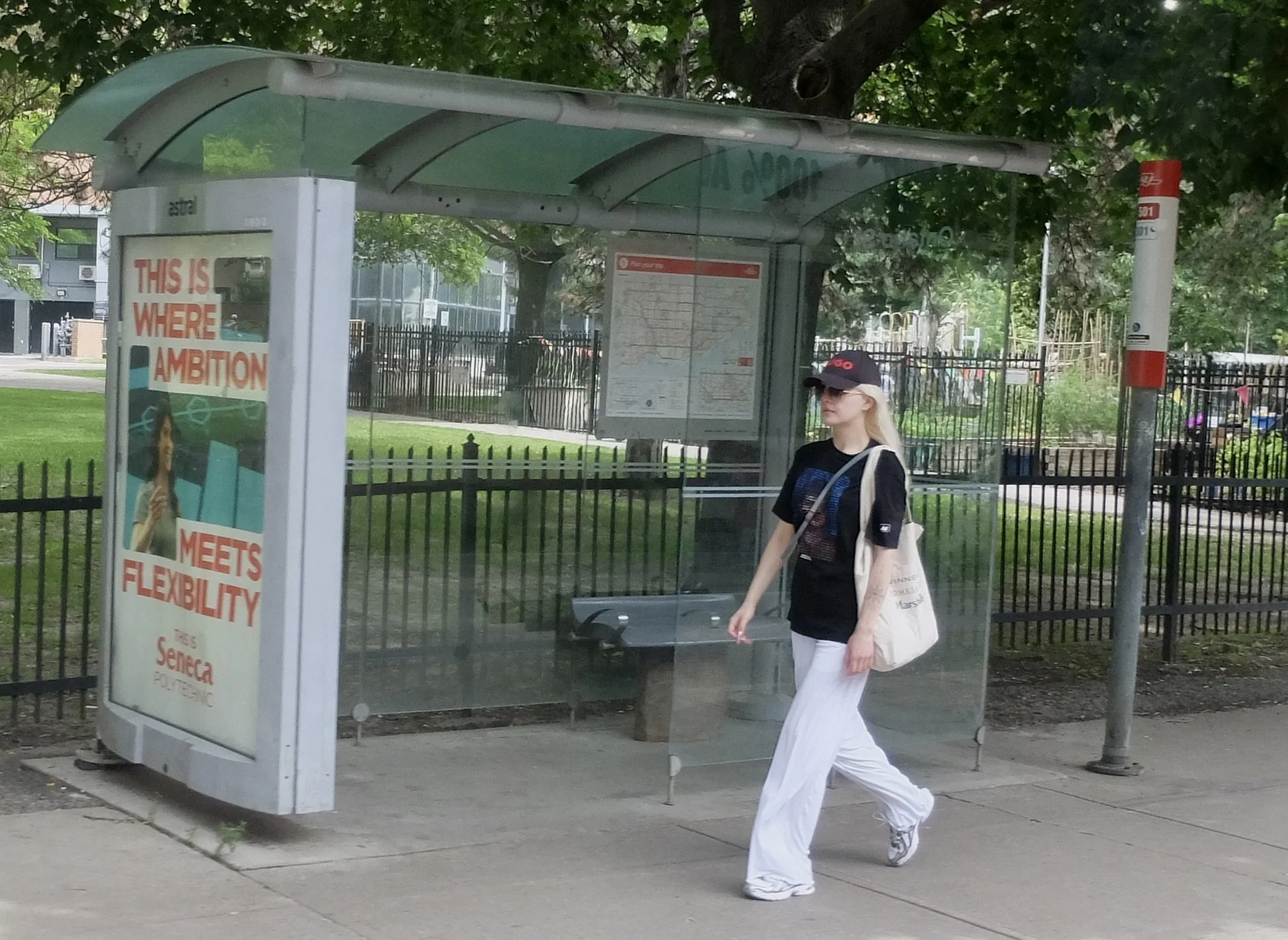  From the  TTC 501 QUEEN streetcar . 