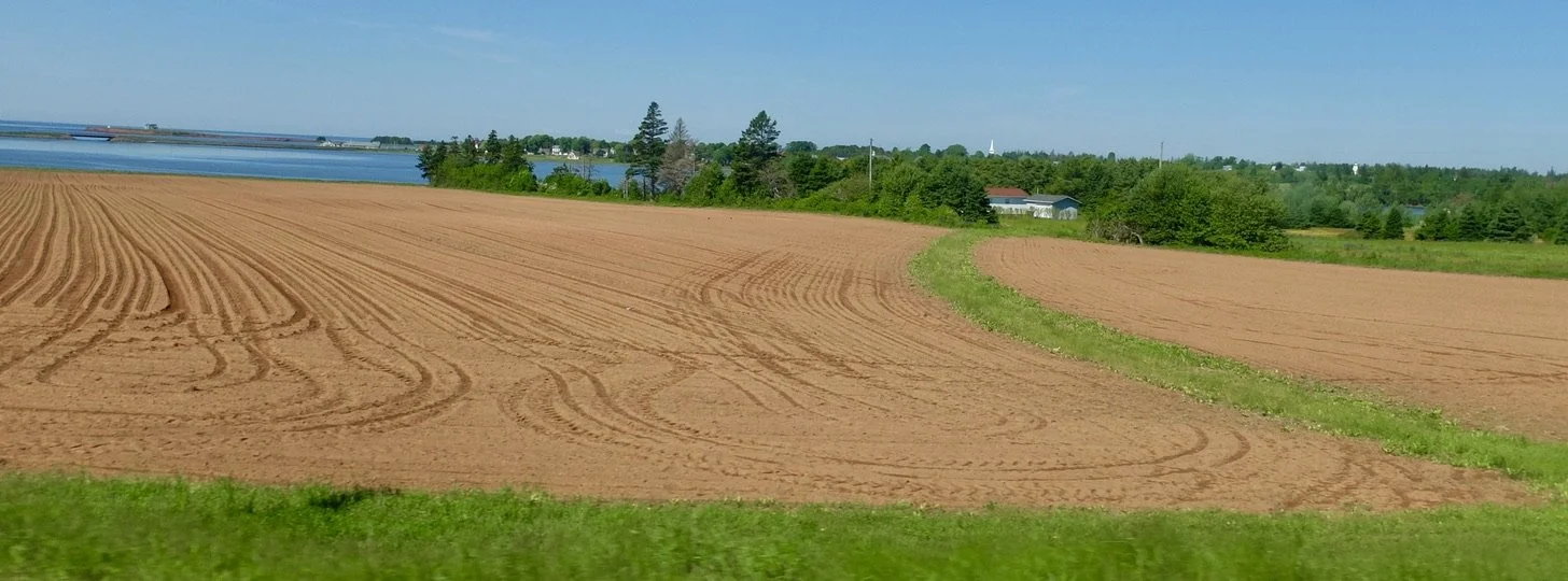  Field ready for likely more potatoes.  More on PEI potatoes later.  PEI en route to Charlottetown with the Northumberland Strait in the background. 