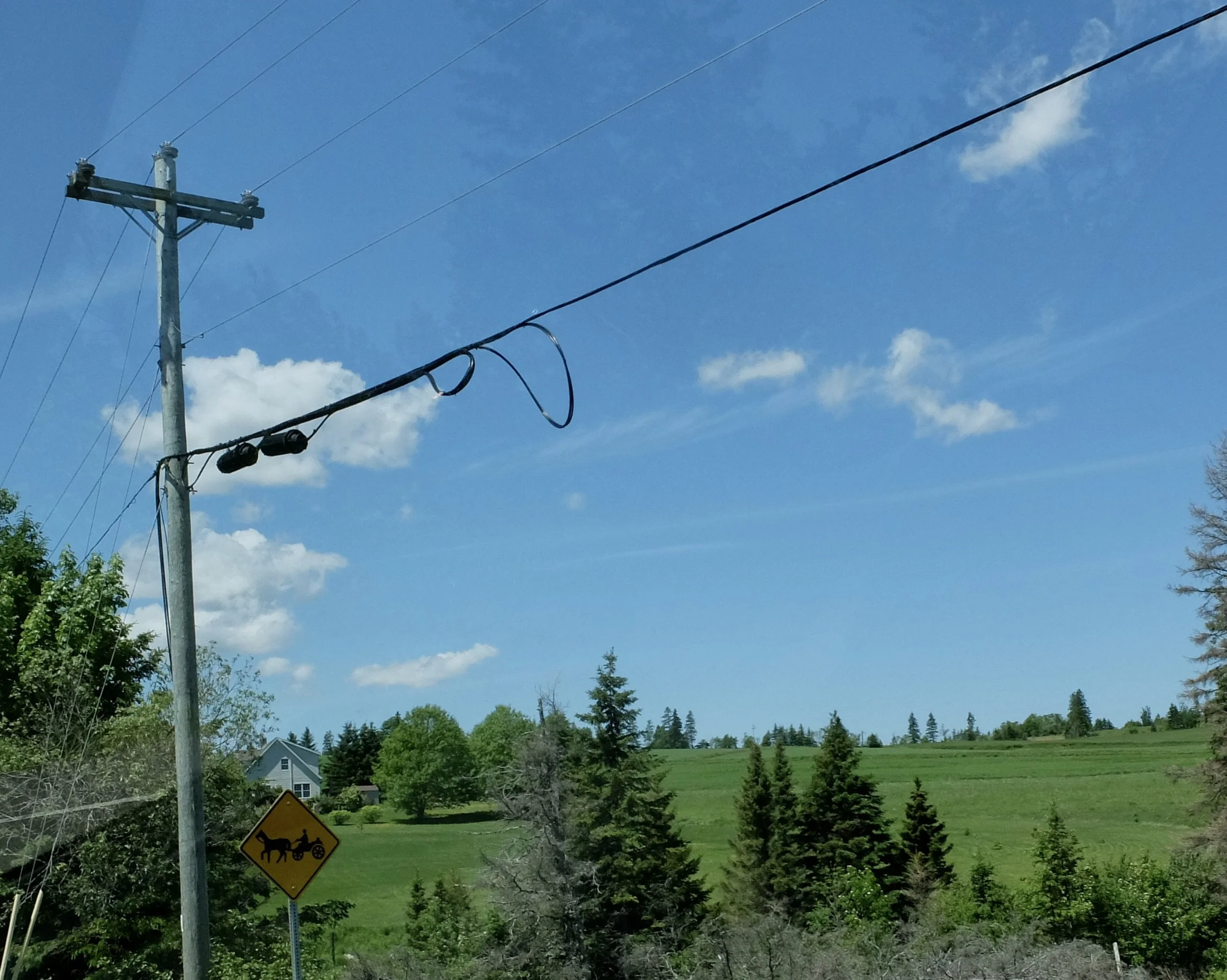  Horse &amp; buggy warning sign.  Mennonites on the road alert. 