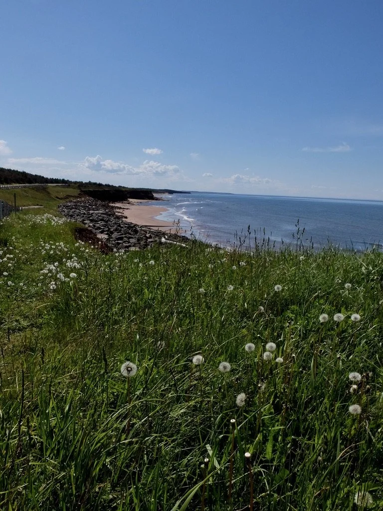  Cape Turner (North Rustico, PEI) within Prince Edward Island National Park.  Drive along Gulf Shore Parkway as part of Best of Prince Edward Island Tour.  Here we could have spent more time driving along the coast &amp; walking.   