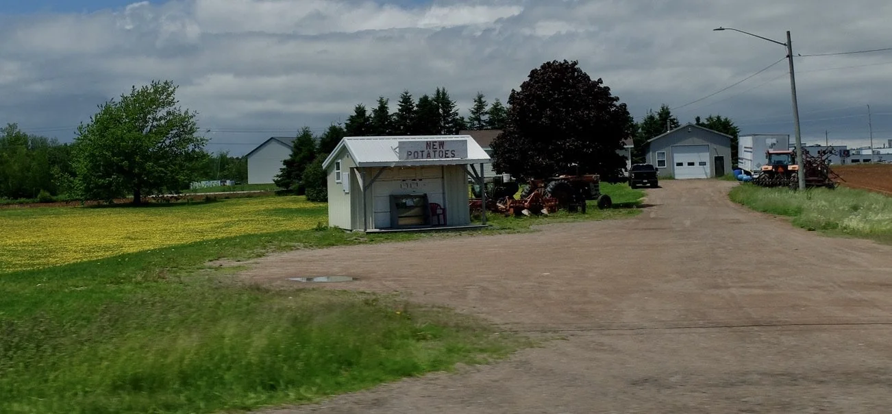    …They are marketed for their  unique taste, quality, and sustainability , thanks to the island’s  rich red soil, fresh sea air, and over 200 years of farming tradition …Potatoes are PEI’s  primary cash crop , producing about  25% of Canada’s potat