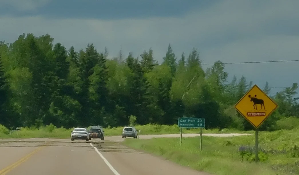  “ATTENTION” with 49 miles to Moncton, New Brunswick on Route 15. 