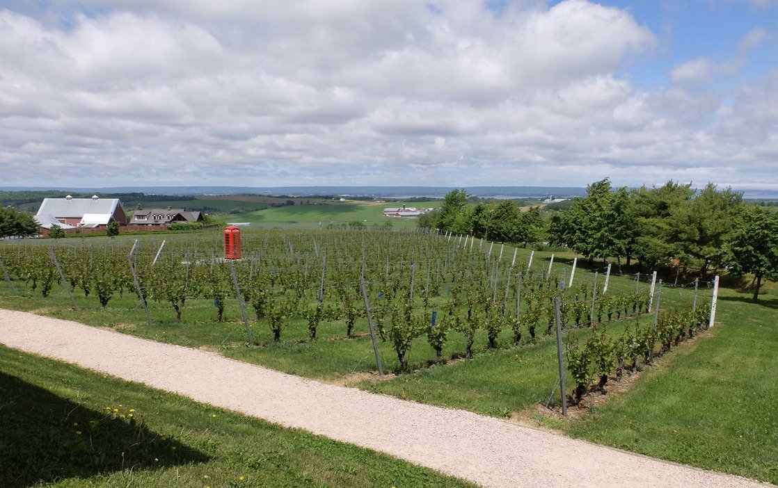 Luckett Vineyards, Annapolis Valley, Nova Scotia.  Looking due north, the Bay of Fundy.  The phone box is set-up to call anywhere in N. American gratis. 