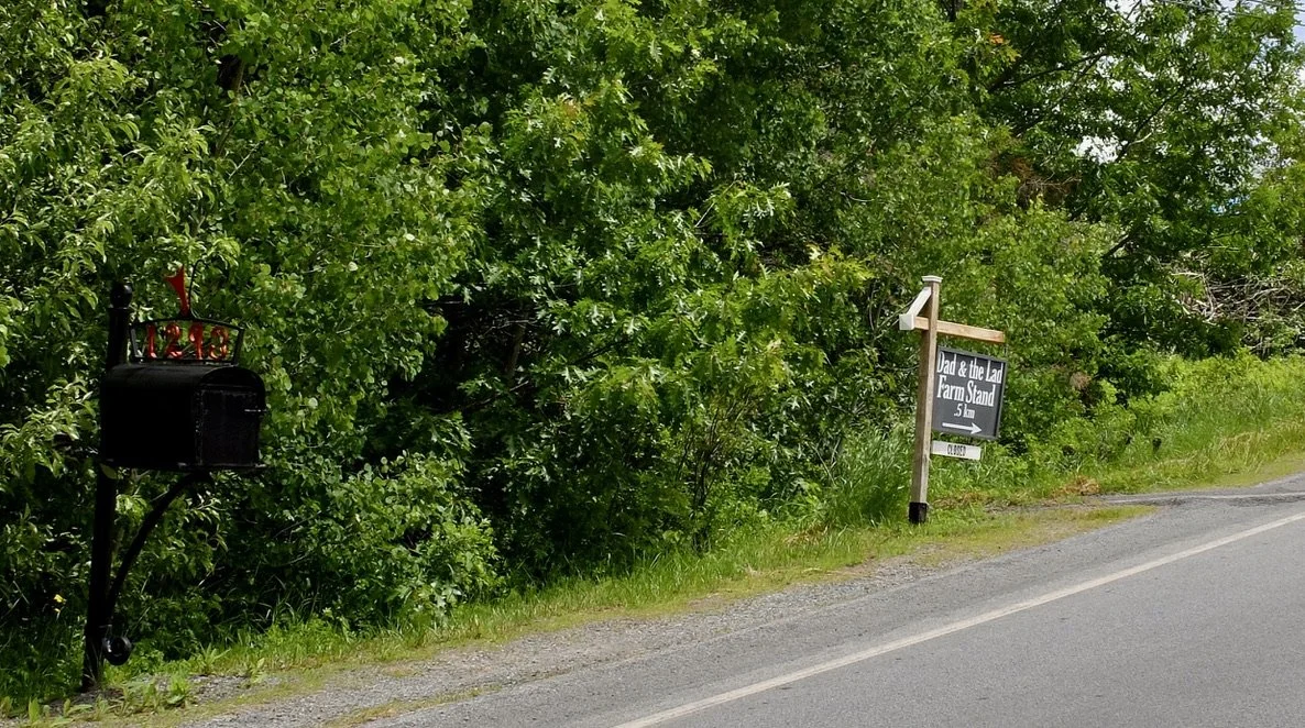  "Dad &amp; the Lad Farm Stand"    Earlier I had seen "The Missus &amp; Me Groceries."   