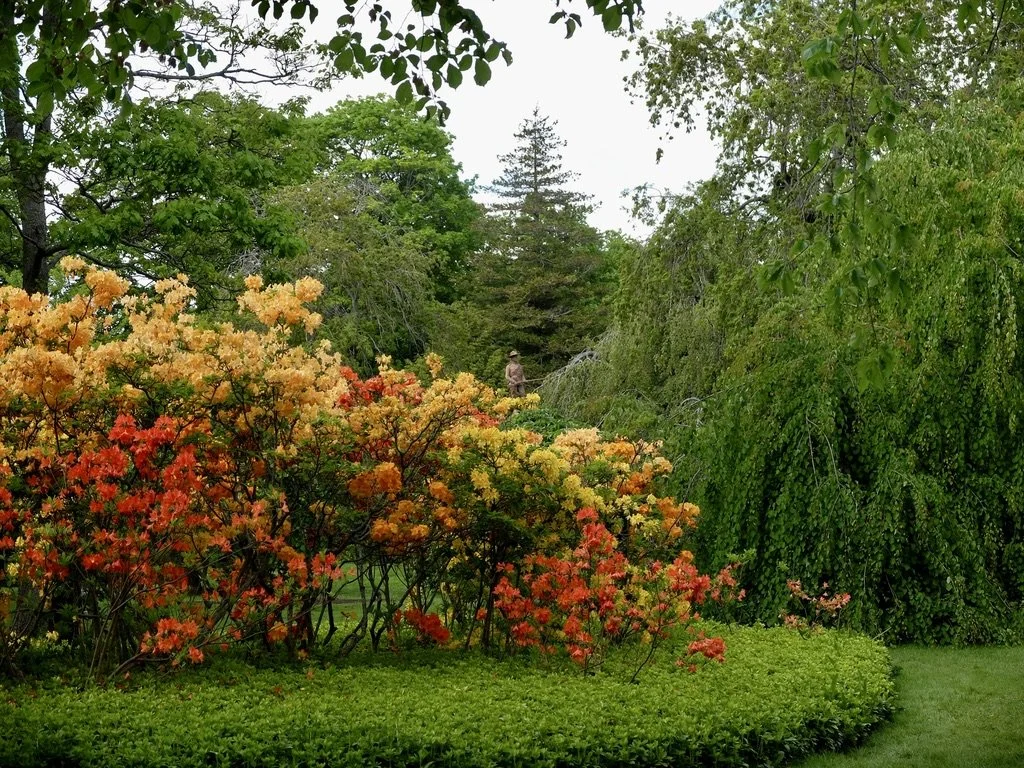  Victoria Garden, Halifax, Nova Scotia c. 1885.  Across street from our hotel, The Lord Nelson. 