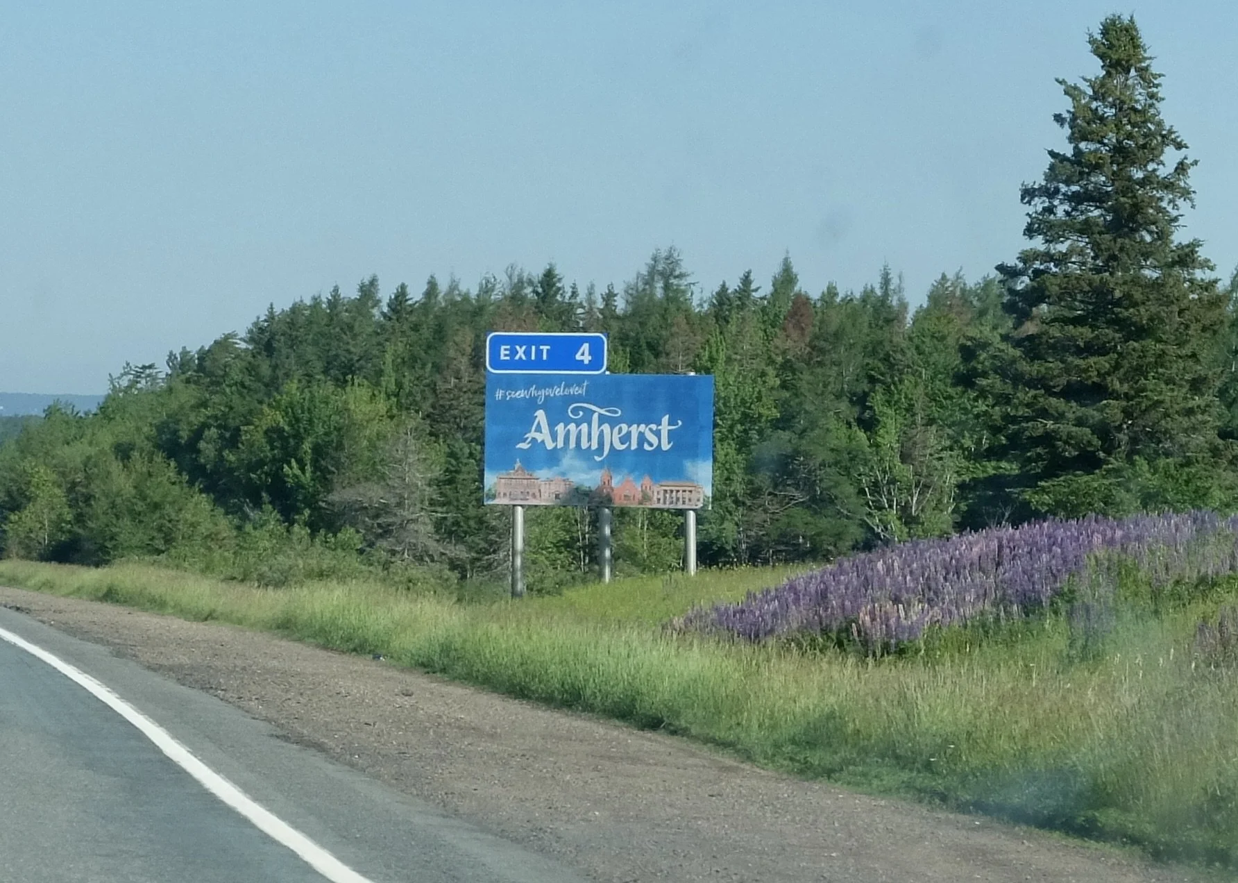  Amherst."... the gateway to Nova Scotia...Try rug hooking at the award-winning Deanne Fitzpatrick Rug Hooking Studio." Wild lupine again. 