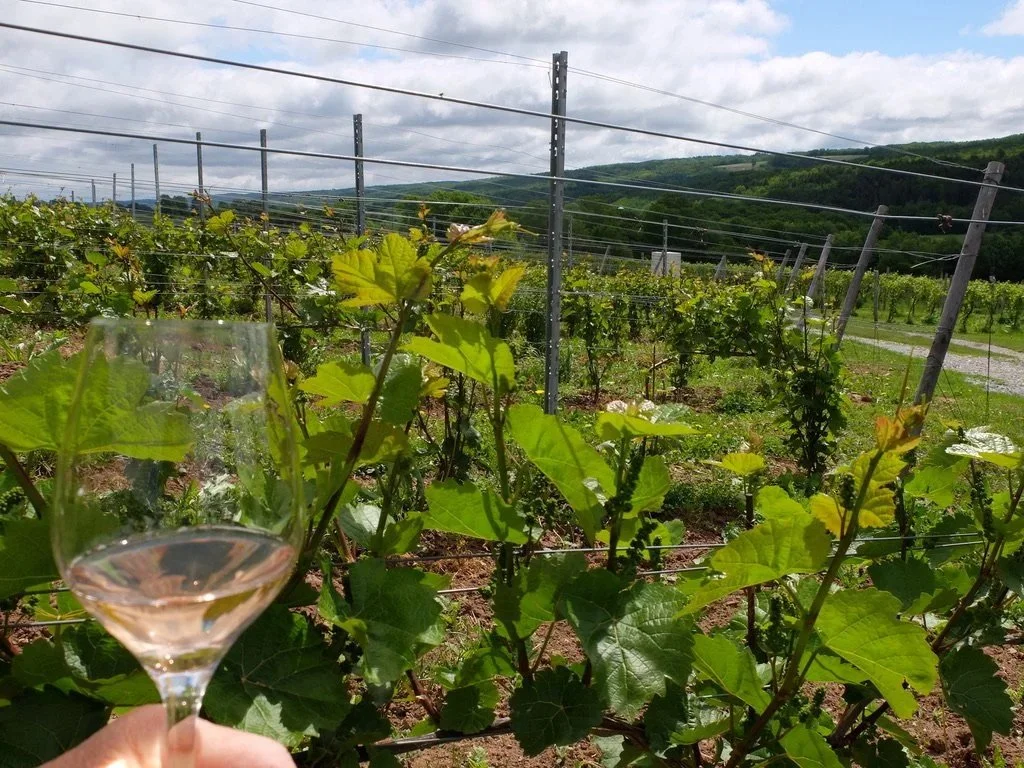  Benjamin Bridges Winery, Wolfville, Nova Scotia “…nestled in the heart of Nova Scotia’s Gaspereau Valley.”   “Tidal Bay is Nova Scotia’s first and only wine appellation, a legally protected designation for crisp, aromatic white wines that reflect th