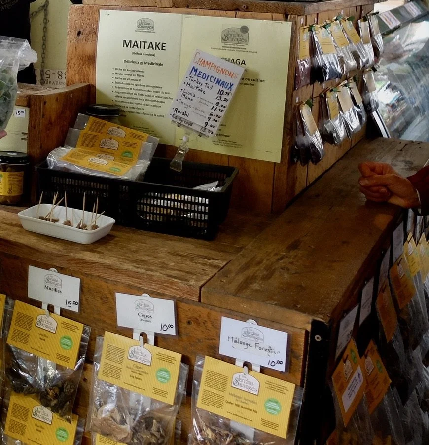  Foraged foods. Jean-Talon Market.  Beyond the Market Montréal walking tour with Jesse. 