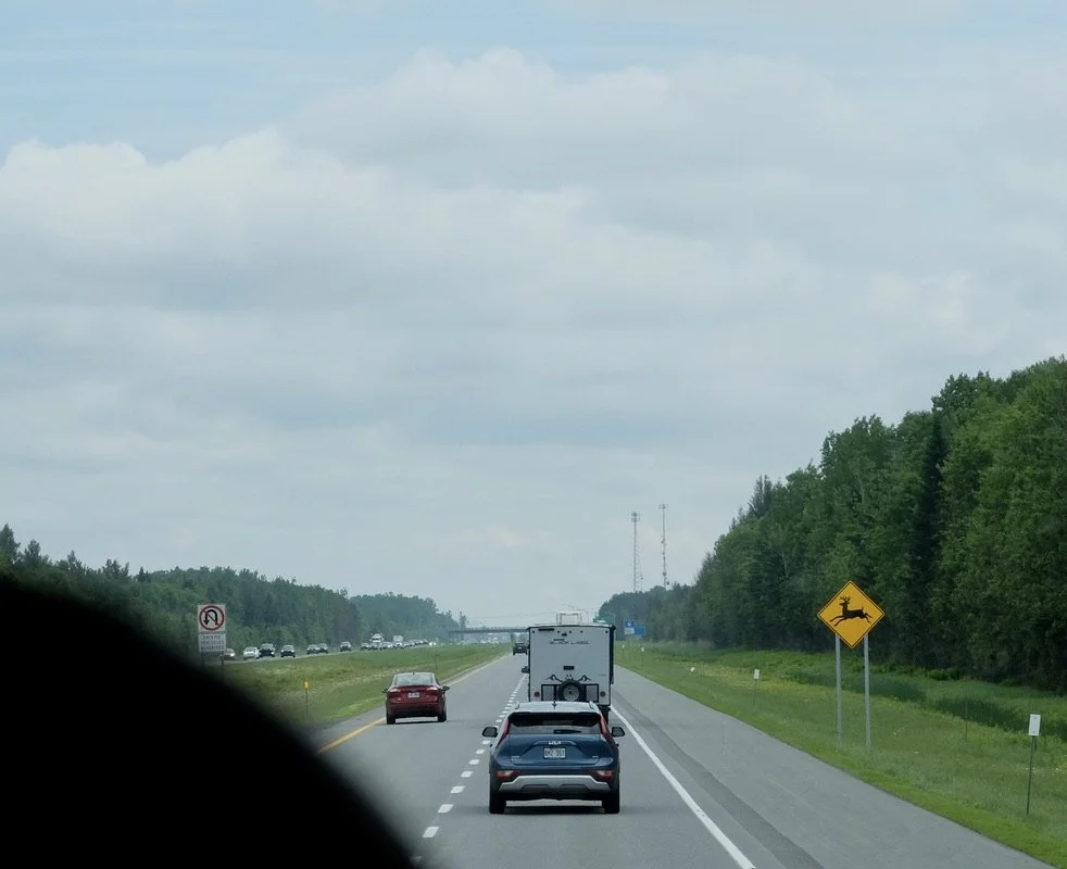  Moose on the loose?  A little more than half way to go on the drive to Quêbec City. 