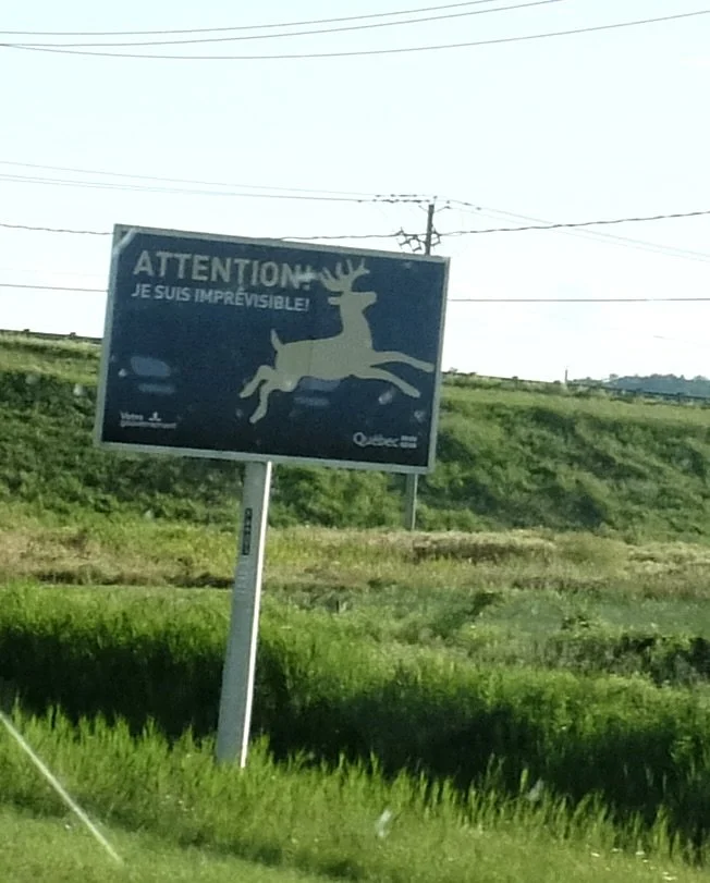  "WARNING!   I AM UNPREDICTABLE!”  Highway approaching Montréal. 