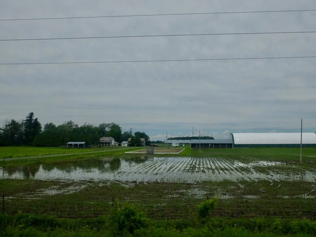  Train Montréal to Toronto.  No drought issues here. 