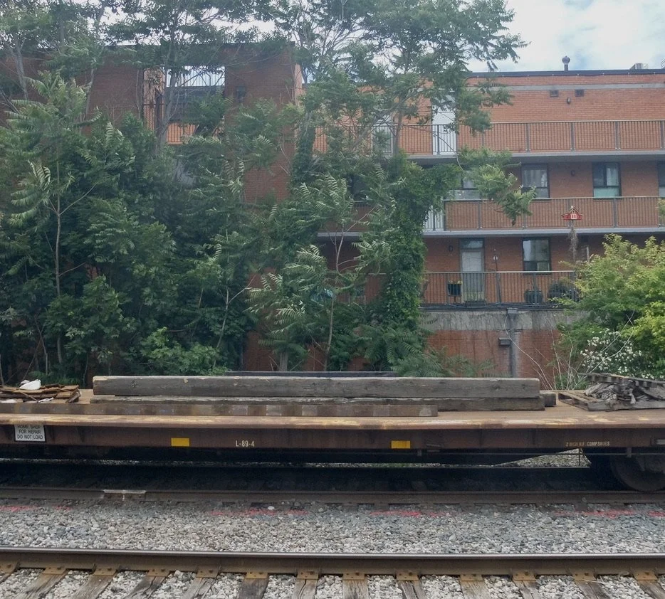  Birdhouse seen when approaching Toronto Union Station.  Some hopeful folks living there. 