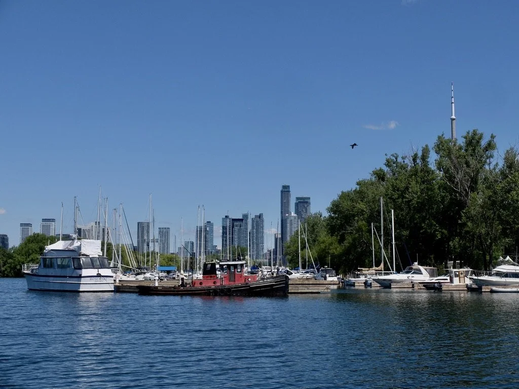  Toronto Harbour Tour with Captain Will &amp; Paco.  Paco did the talking.    