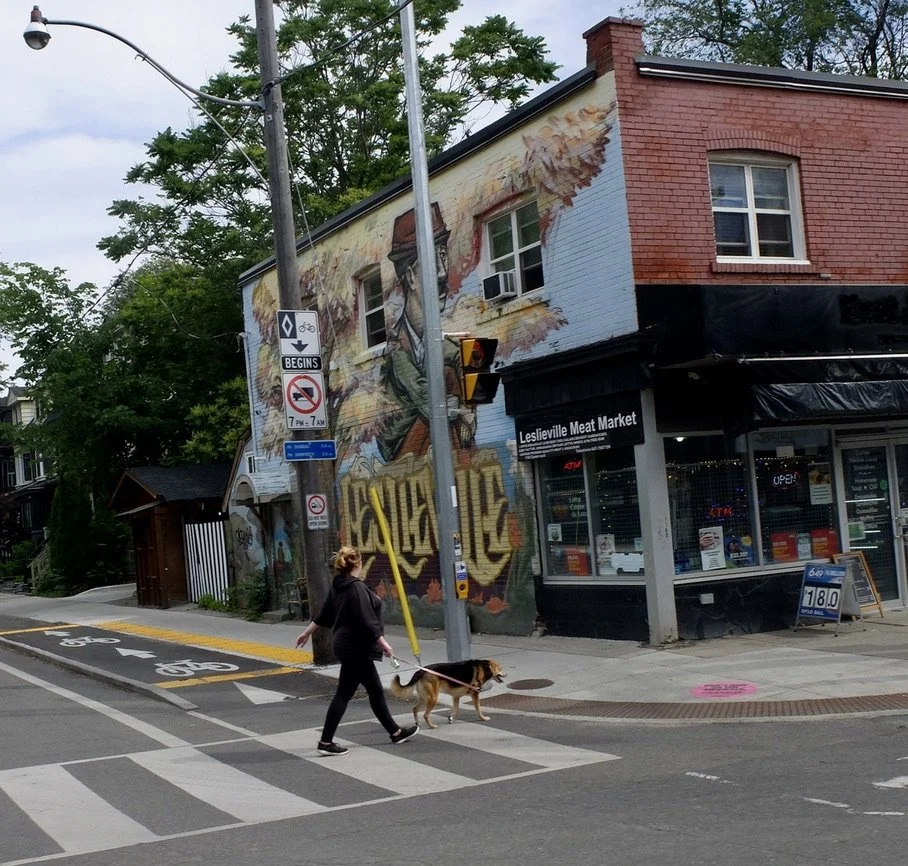   …it then makes it way through the shopping districts lining Queen Street West, … and out to the Beaches neighbourhood.” 