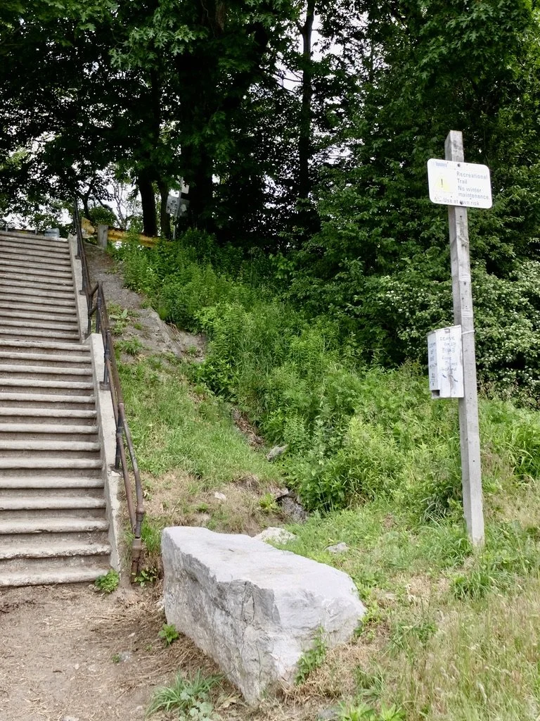  “Recreational Trail  - No winter maintenance - Use at own risk.”  Climbing back up to catch the 501 Queen Streetcar.   