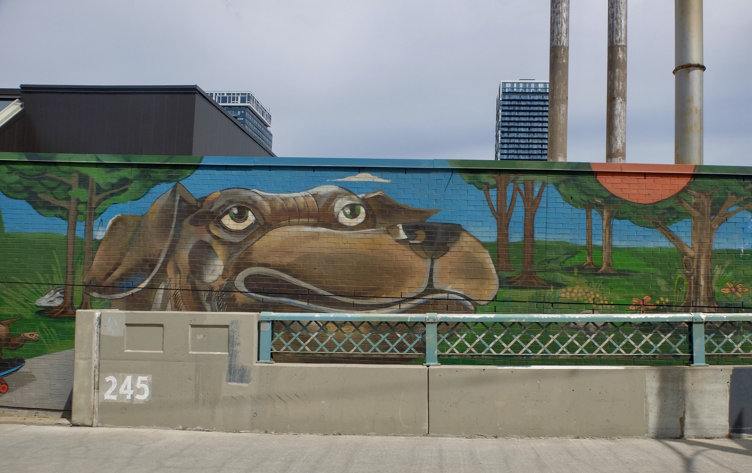  Humane Society. One of many pet related establishments seen along the 501 Queen Streetcar route.   