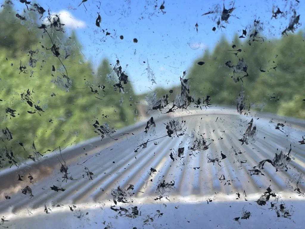  Within three hours the Skyline Dome front window was splattered with bugs.  Despite many long stops, with many maintenance people coming on board, no one cleaned this window. 