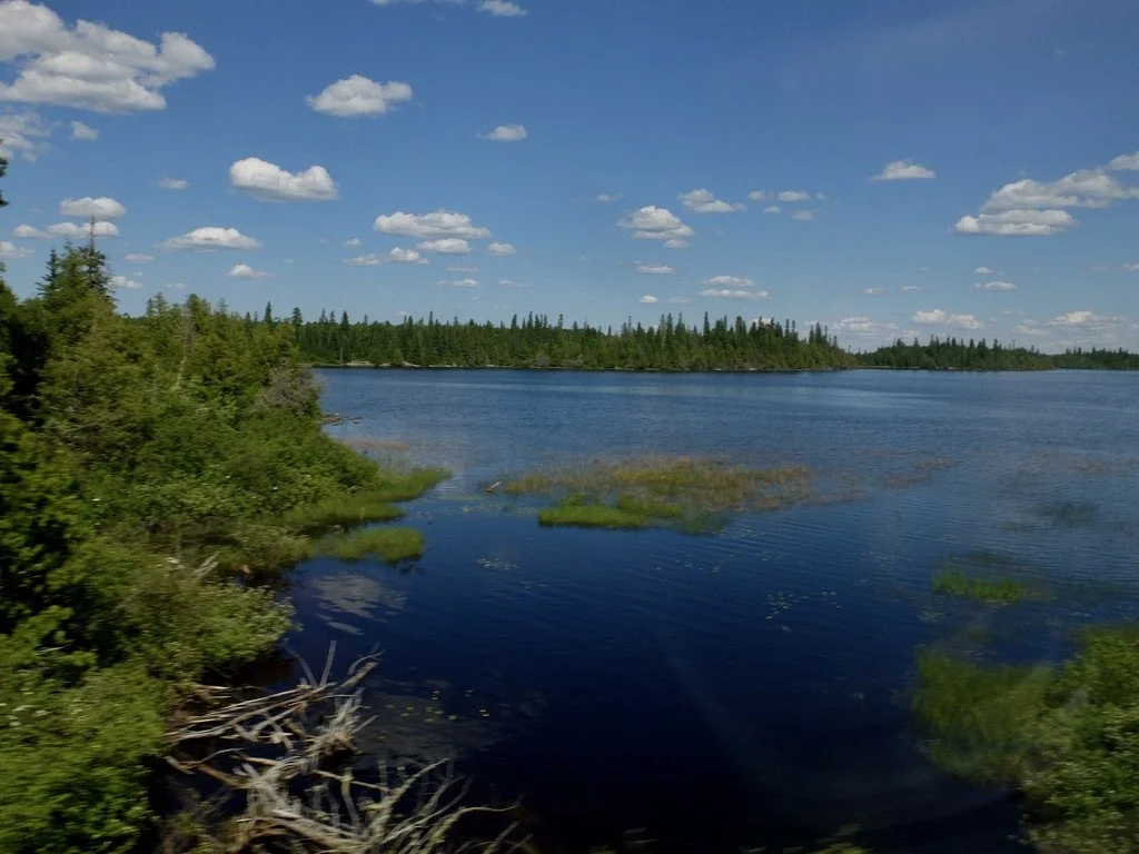  From our sleeper on The Canadian. 