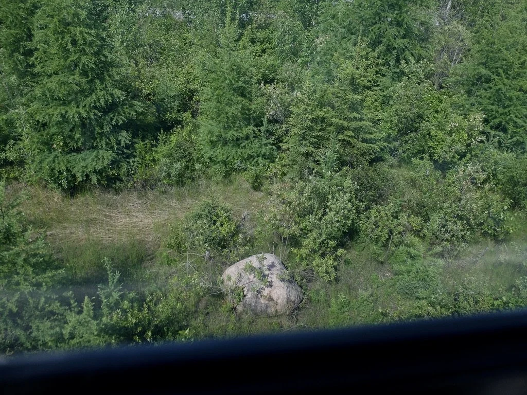  We had heard about the Canadian Shield in Halifx.    “… geologic shield , a large area of exposed  Precambrian  igneous  and high-grade  metamorphic rocks …”   https://en.wikipedia.org/wiki/Canadian_Shield   Supposedly we would see a lot of rock in 