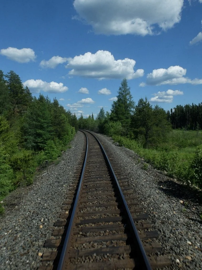  I love this view seen from the Prestige Lounge of The Canadian at the back of the last car on the train.    Naomi spotted a bull moose along the tracks.  I didn’t see it. 