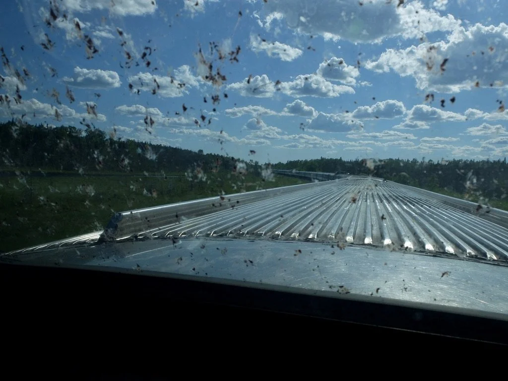  Our host at the Champagne Welcoming Soiree told us that we could also access the Prestige Car dome.  Not so.  We were not welcomed up here.  I did snap a photo to show that the Prestige window was as bug covered as our Sleeper Class dome car.  Equal