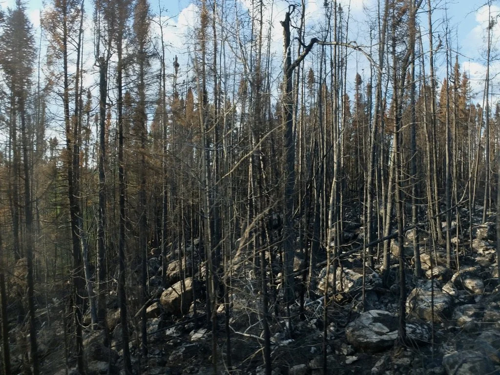 Rocks of the Canadian Shield visible after a recent fire.  From The Canadian. 