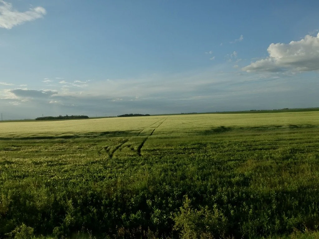 Going forward to the west through Manitoba Province on the Canadian. 