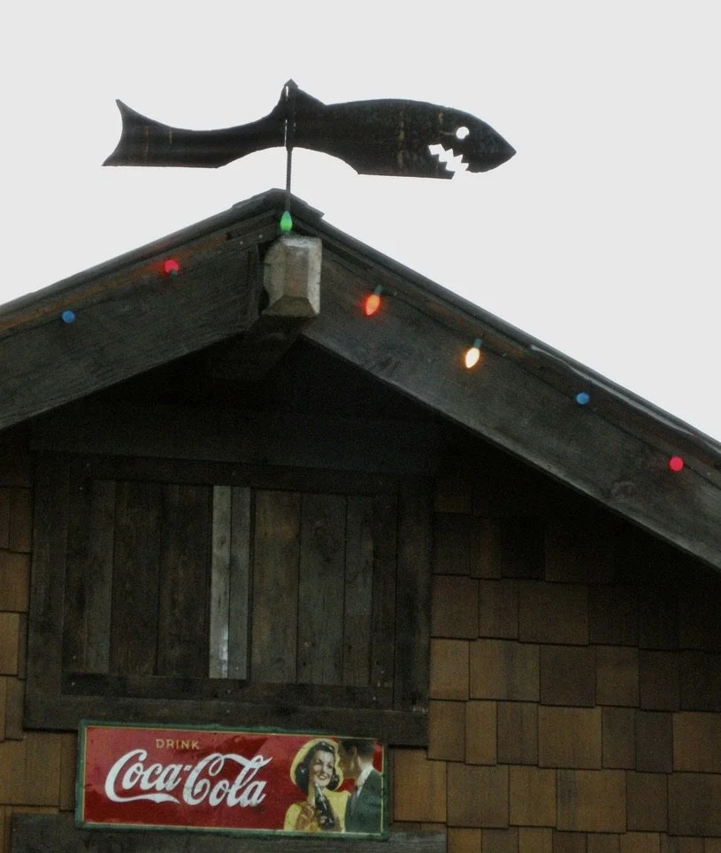  Stinson Beach,CA Dec. 2007. 