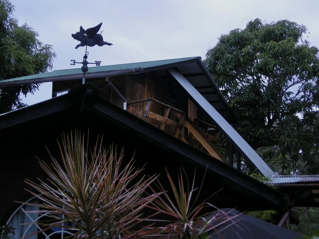  “If pigs could fly...”  Opihikao Road, Pahoa, Hawaii'i June 2010  