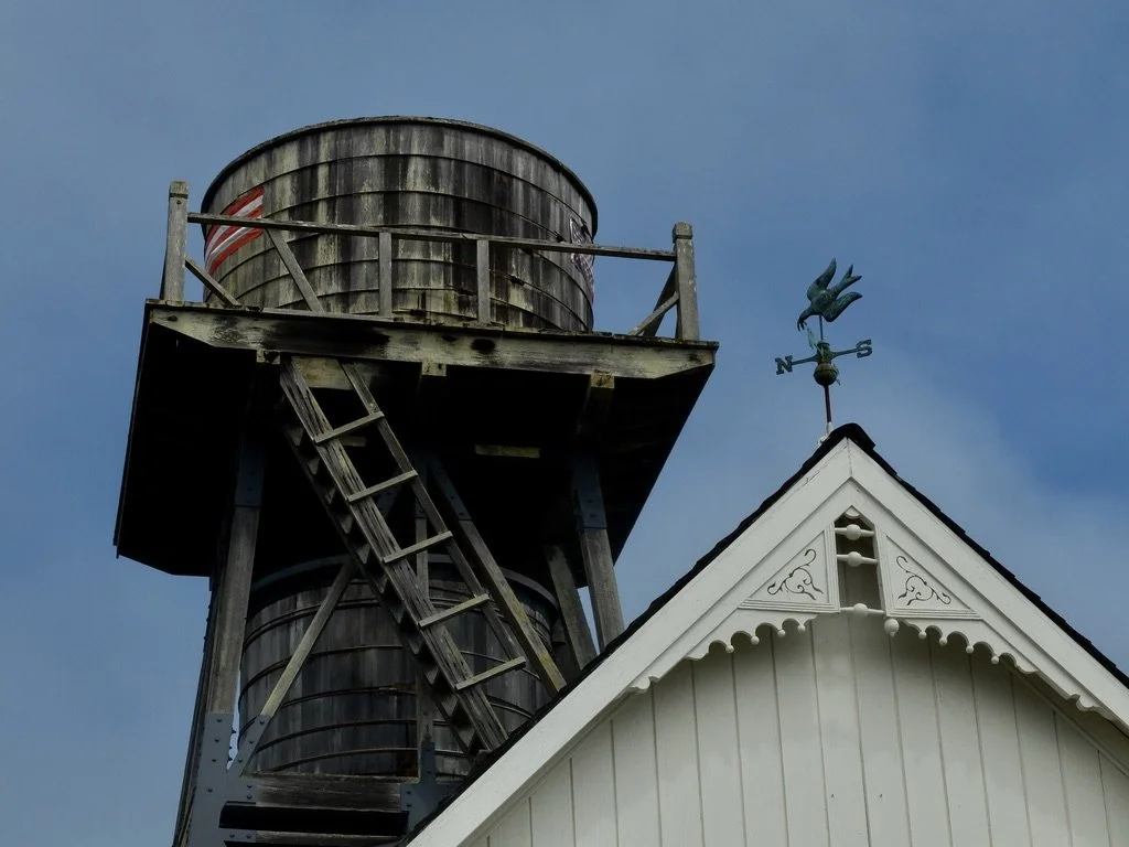   Mendocino, CA July, 2014. 