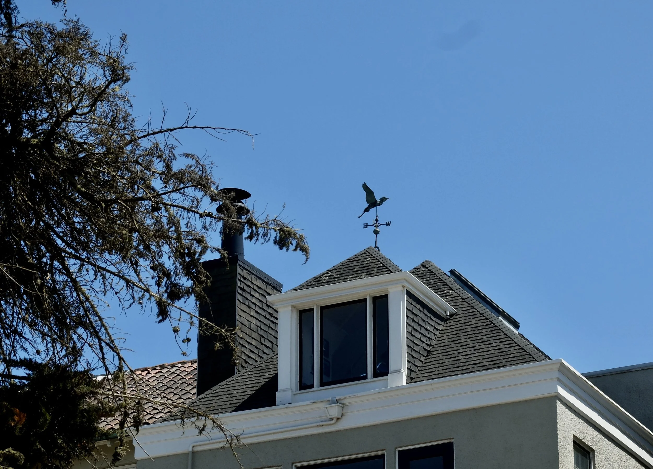  Presidio Heights seen from the Presidio during tour of Andrew Goldsworthy installations. May 2017. 