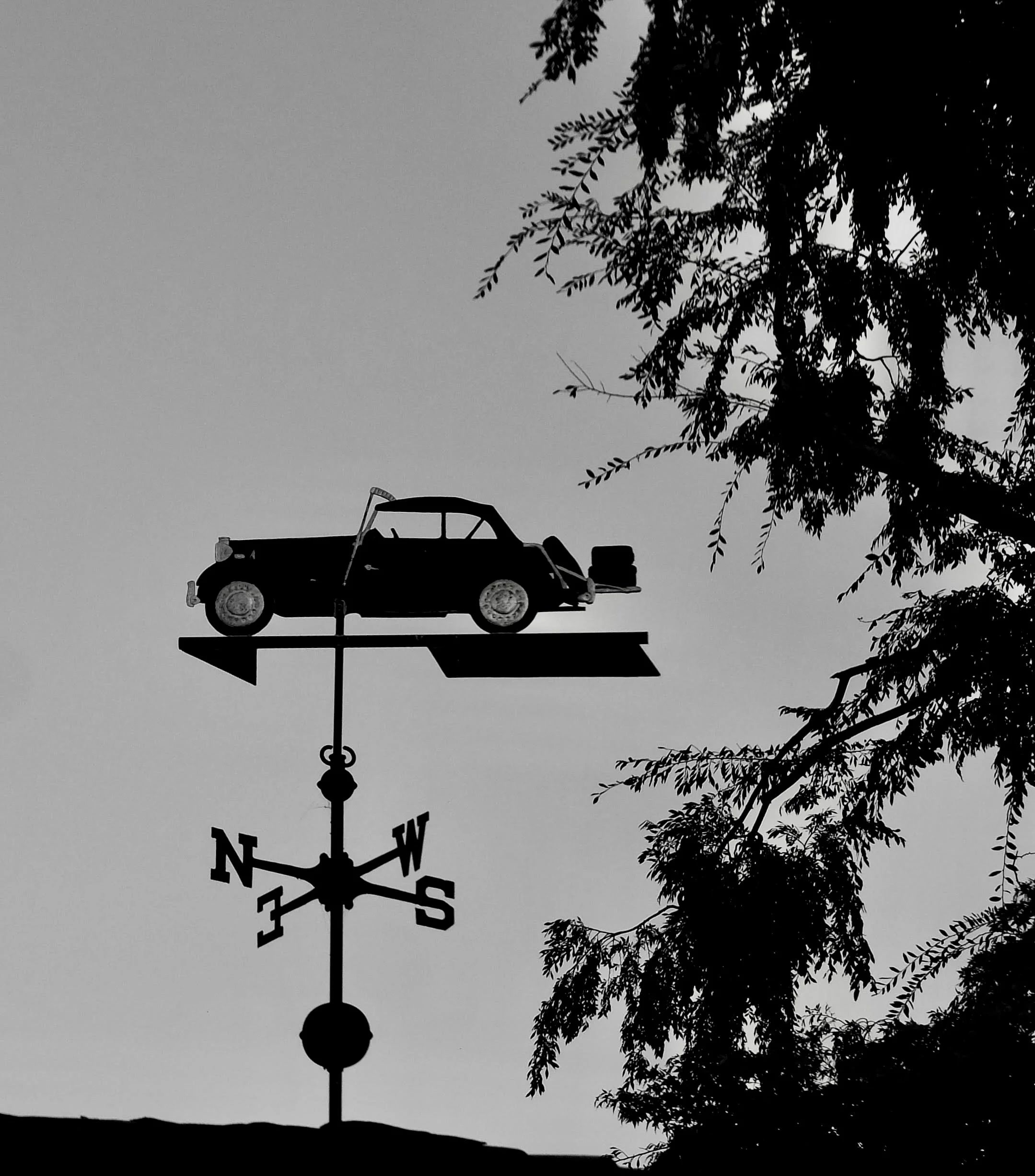  Entered in Mill Valley , CA Click Off photo contest.  I didn’t win nor place.  Oct. 2022. 