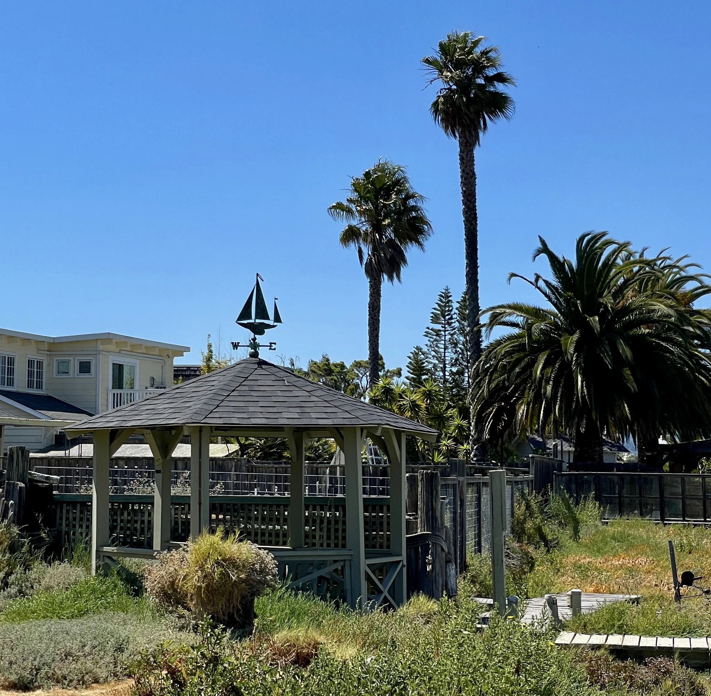  Golden Hind Passage, Corte Madera, CA - July 2024. 