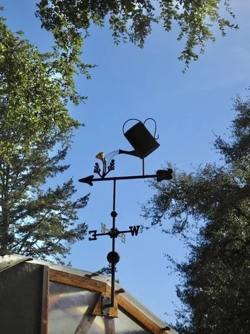  They had weathervanes all around their property, inside &amp; out. 