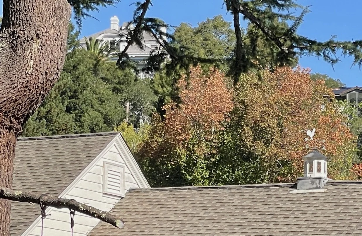  Ross, CA - Sept. 2026. 