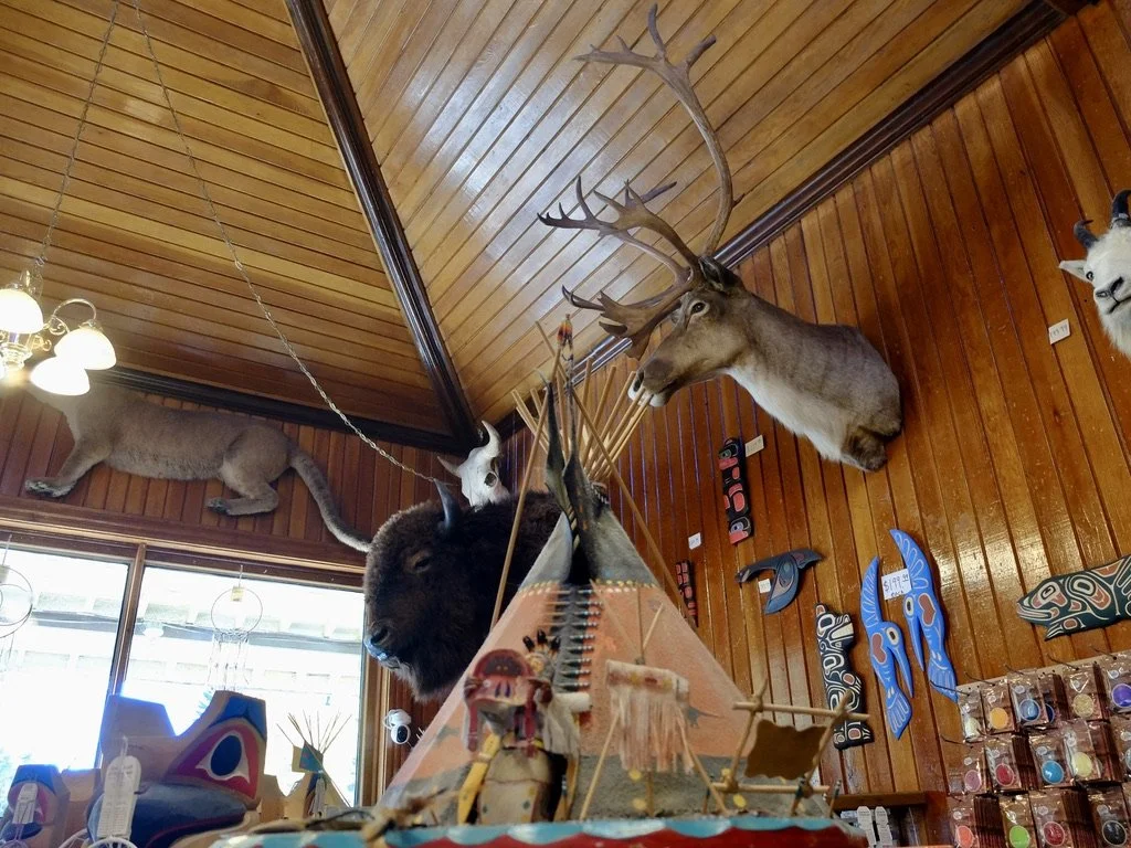  The only large wildlife we saw other than a live female elk, from behind.   A shop in Banff. 