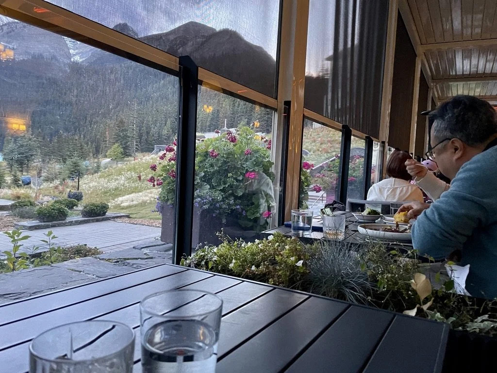  We were having cocktails at the Lakeview Restaurant in the Fairmont Chateau Lake Louise. The couple next to us were having a very pricey meal. While eating, overlooking one of the most beautiful views in the world, they were watching a video on thei