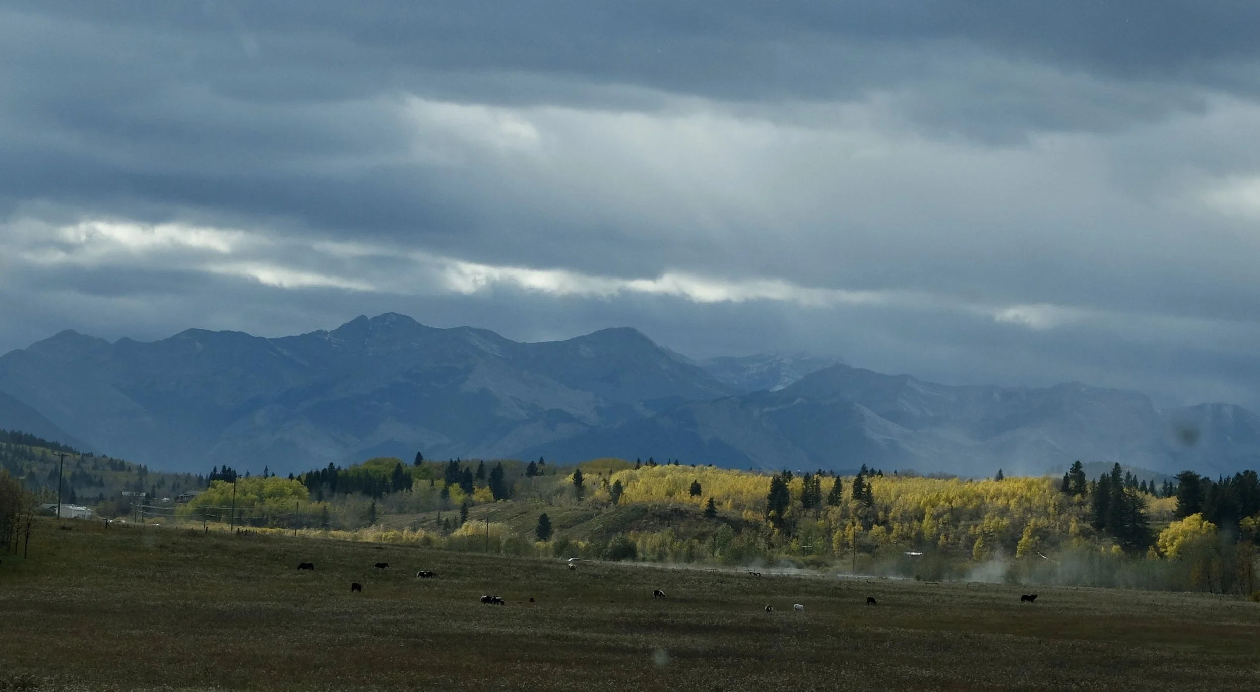  Trans-Canada Highway.  The aspens were changing colors.  