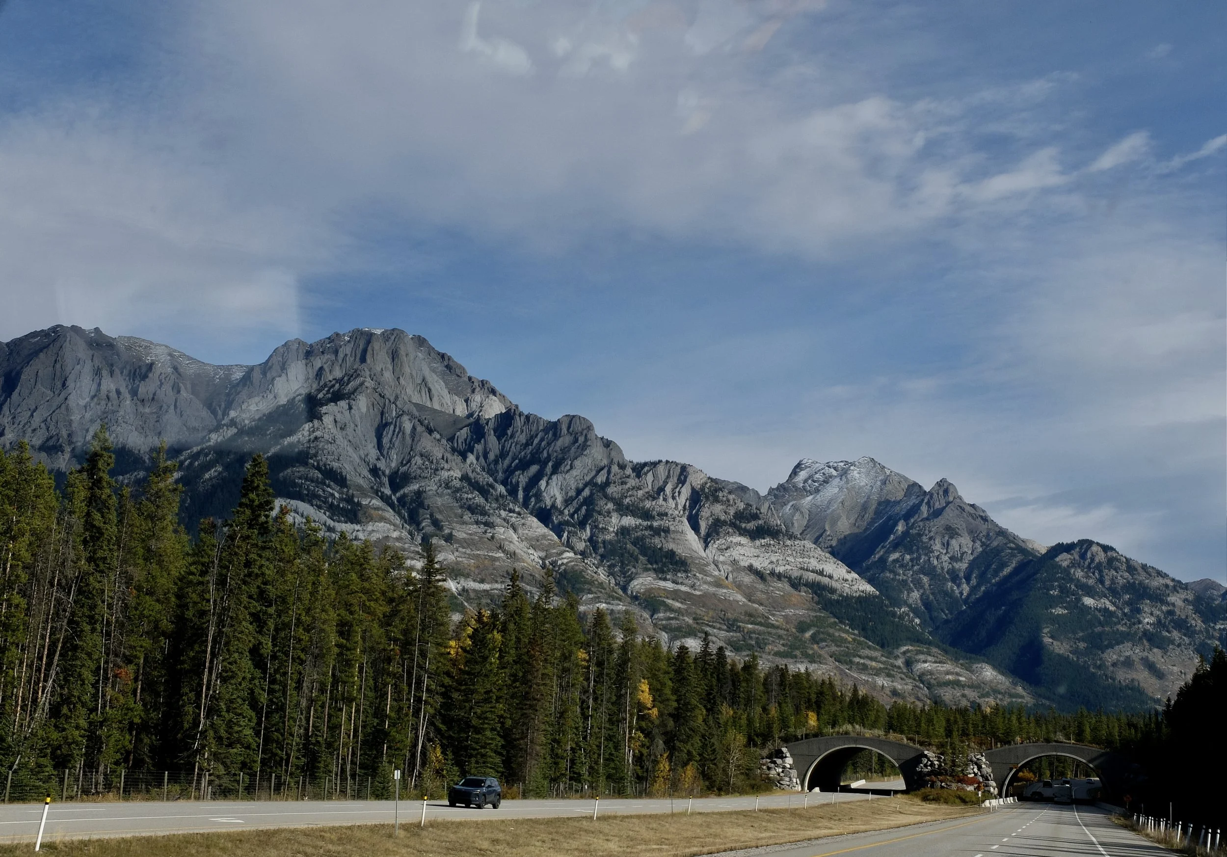  Wildlife overpass on Trans Canadian Highway return to Banff. 