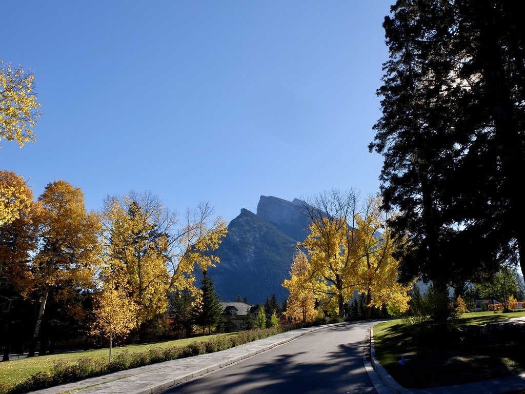    View from the Cascade of Time Gardens. 