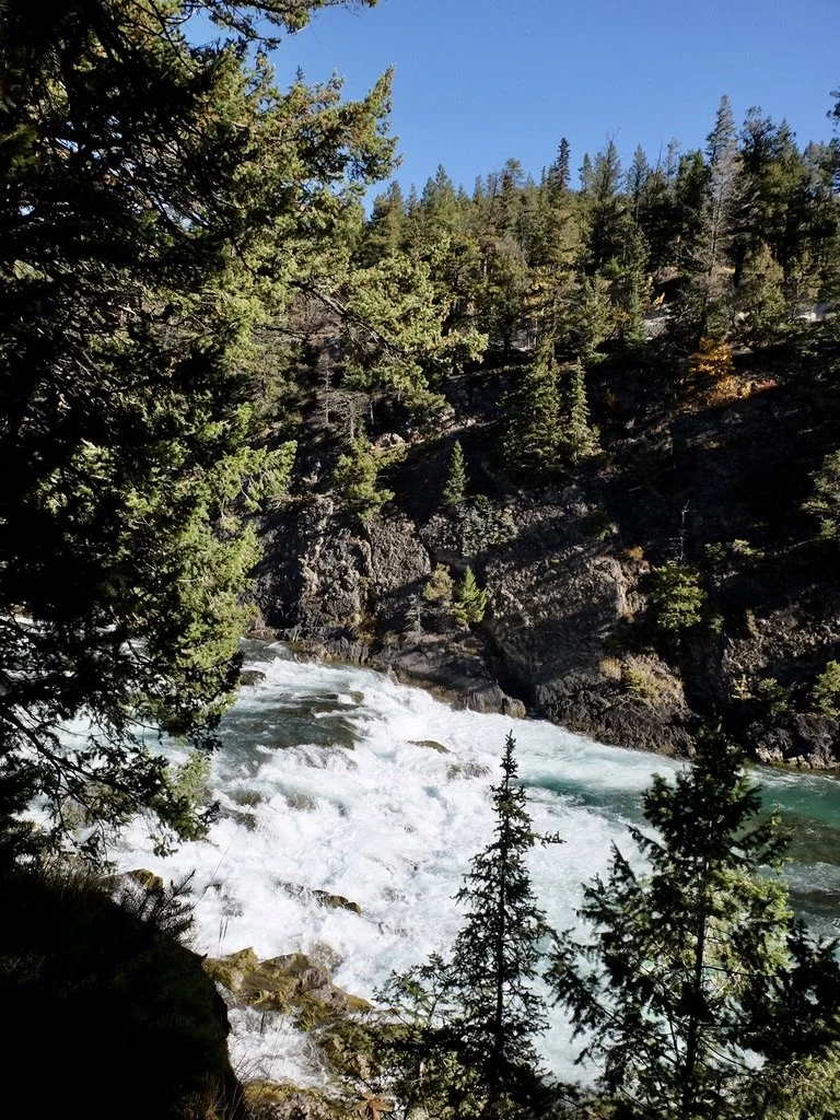  Bow River Falls fed by Bow Glacier Falls. 