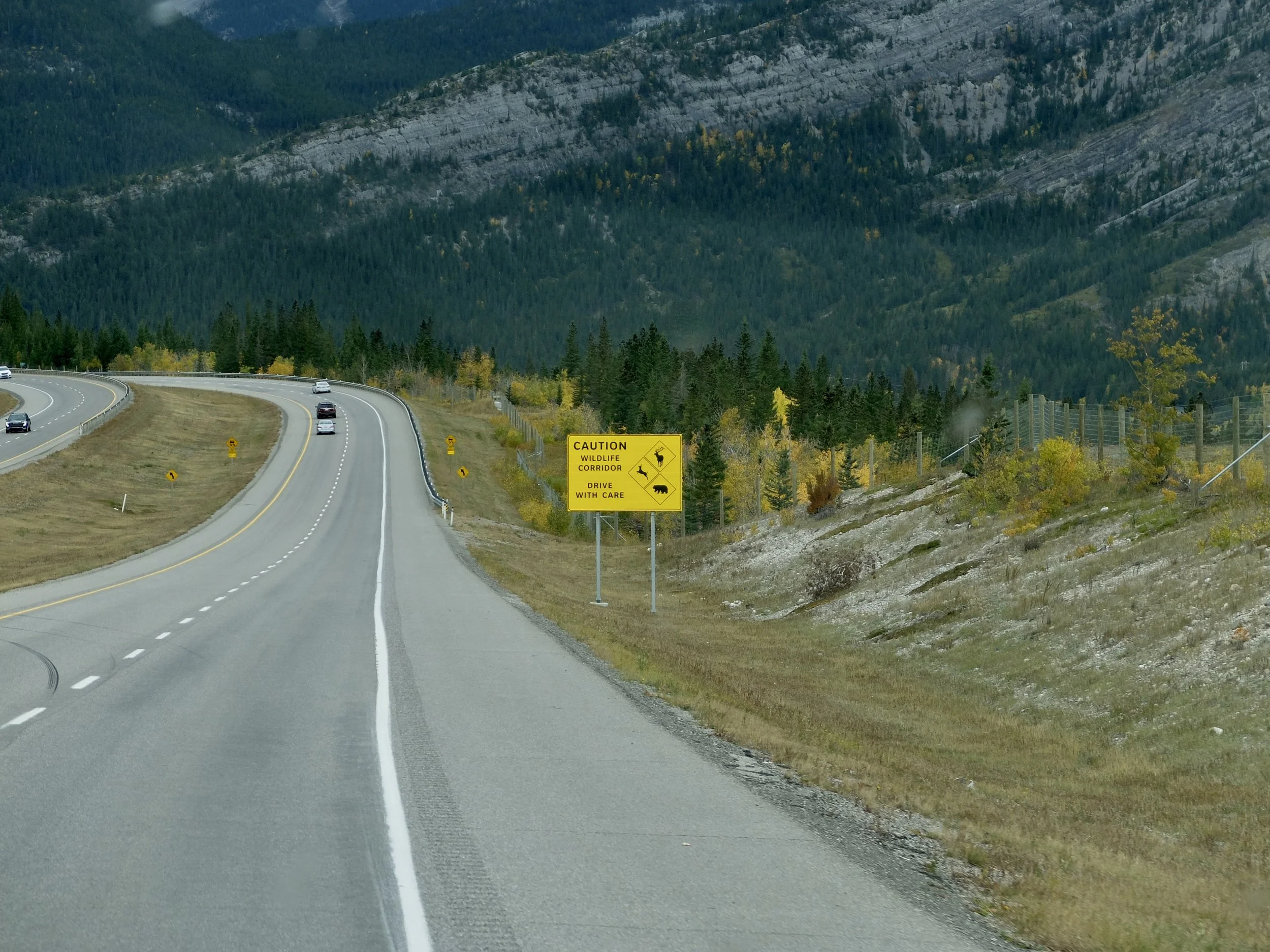  After the opening of the Trans-Canada Highway, motor vehicles were hitting wild animals.  A fence was built to keep the animals off the roadway &amp; the numbers of them being killed decreased tremendously.   