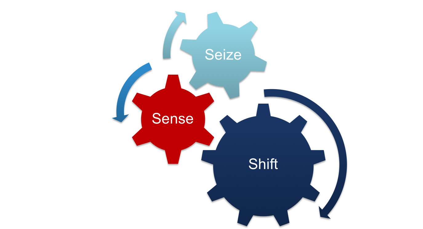 Sense.png