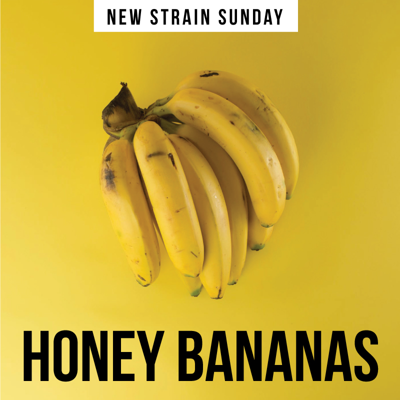 CCM-newstrain-honey-banana_01.jpg