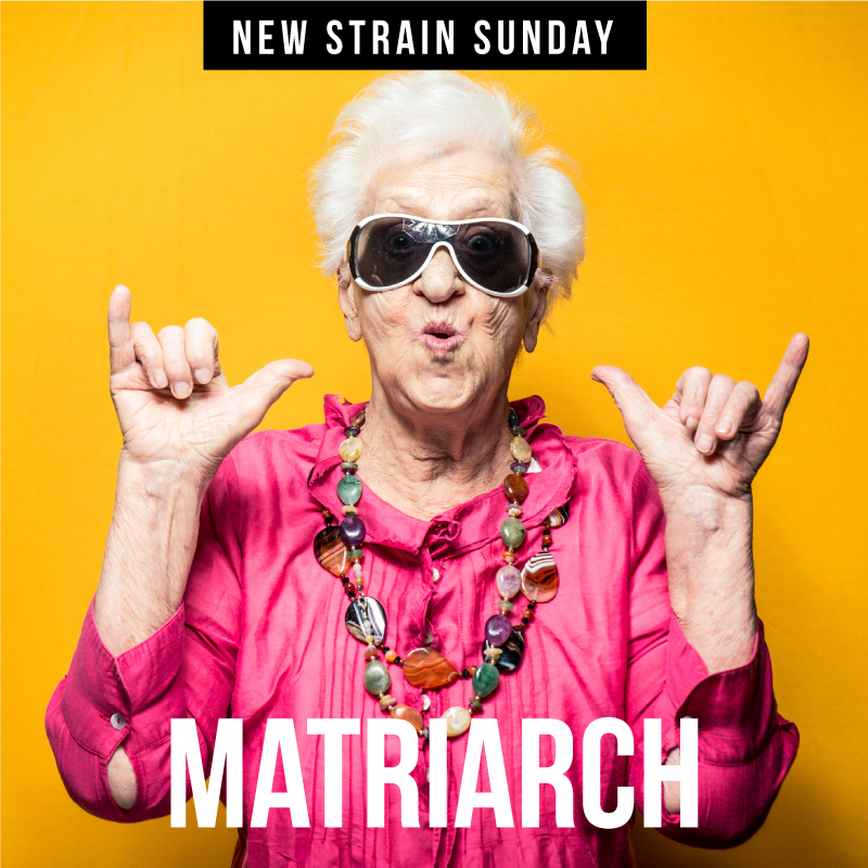 CCM-Matriarch.jpg