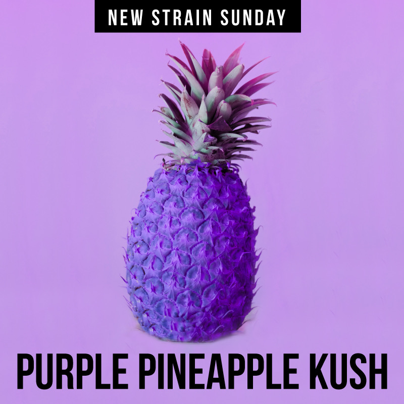 CCM-purple-pineapple.jpeg